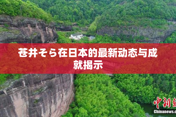 苍井そら在日本的最新动态与成就揭示