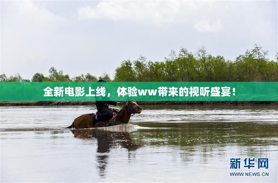 全新电影上线，体验ww带来的视听盛宴！