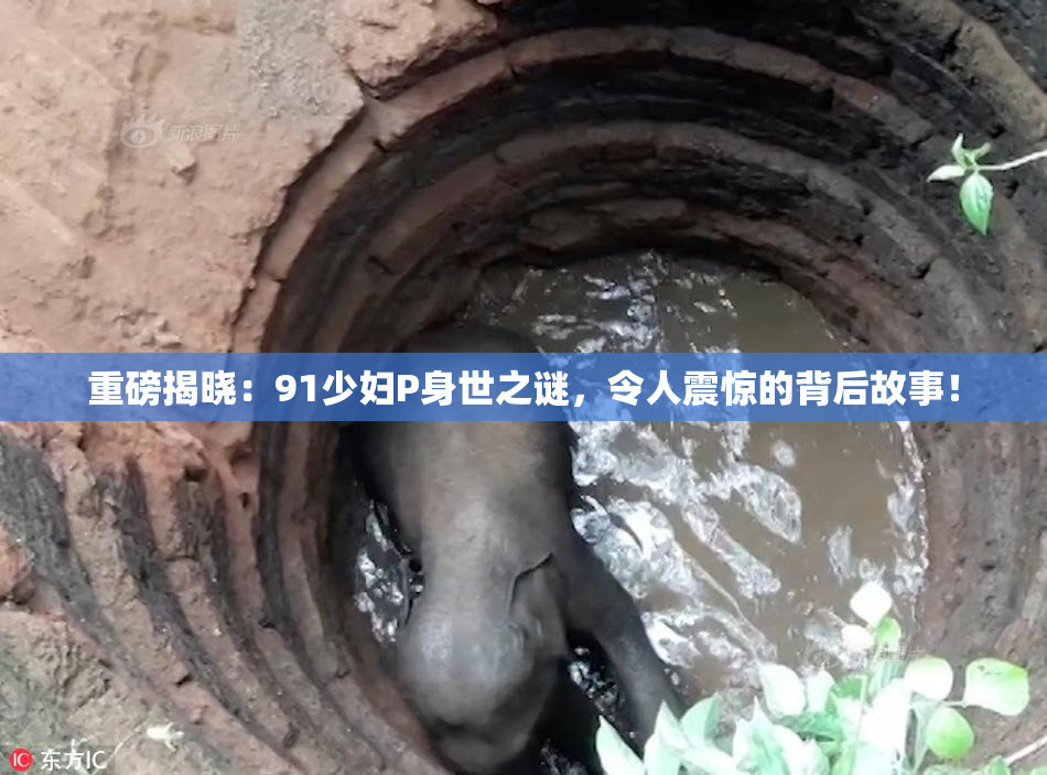 重磅揭晓：91少妇P身世之谜，令人震惊的背后故事！