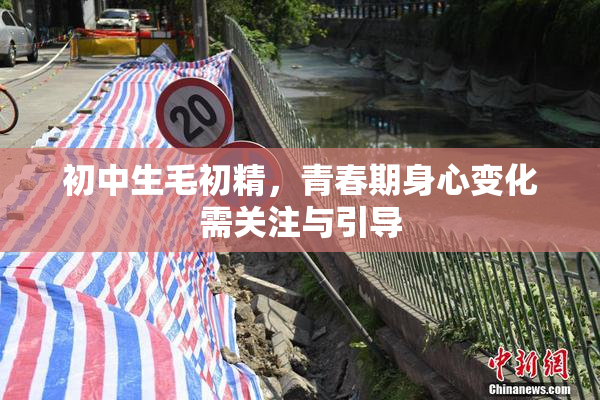 初中生毛初精，青春期身心变化需关注与引导