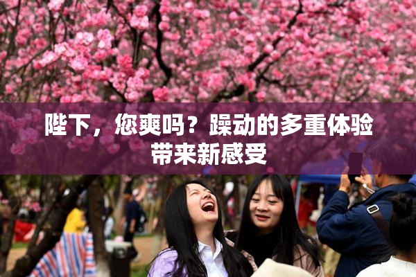 陛下，您爽吗？躁动的多重体验带来新感受