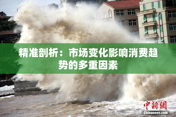 精准剖析：市场变化影响消费趋势的多重因素