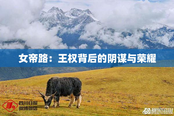 女帝路：王权背后的阴谋与荣耀
