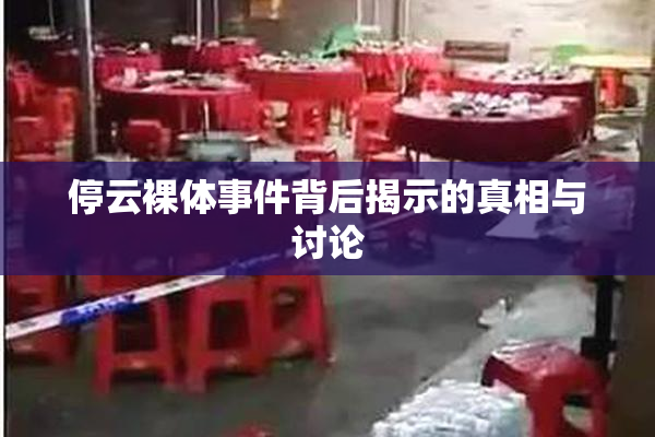 停云裸体事件背后揭示的真相与讨论