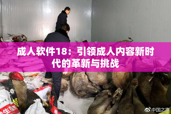成人软件18：引领成人内容新时代的革新与挑战