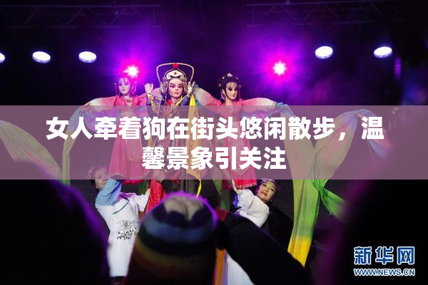 女人牵着狗在街头悠闲散步，温馨景象引关注