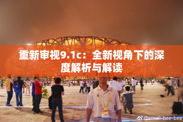 重新审视9.1c：全新视角下的深度解析与解读