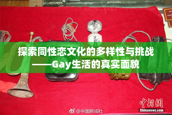 探索同性恋文化的多样性与挑战——Gay生活的真实面貌