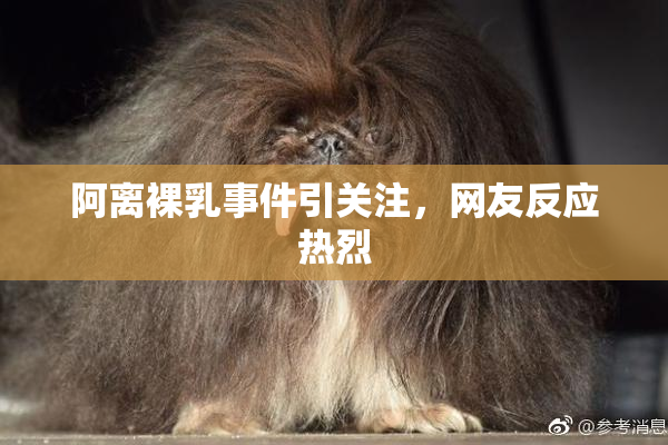 阿离裸乳事件引关注，网友反应热烈