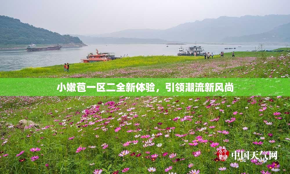 小嫩苞一区二全新体验，引领潮流新风尚