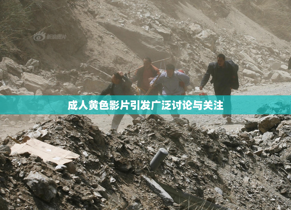 成人黄色影片引发广泛讨论与关注
