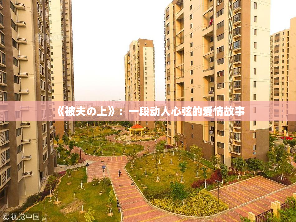 《被夫の上》：一段动人心弦的爱情故事