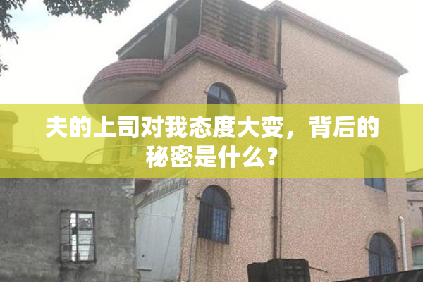 夫的上司对我态度大变，背后的秘密是什么？