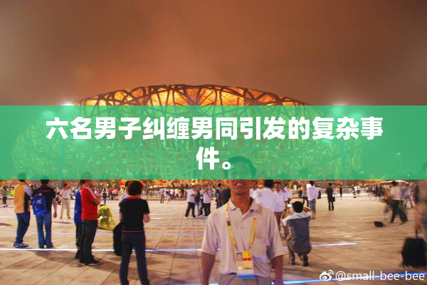 六名男子纠缠男同引发的复杂事件。