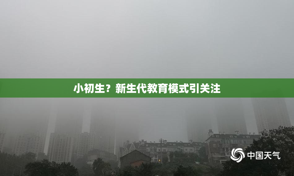 小初生？新生代教育模式引关注
