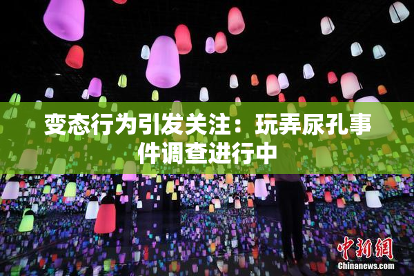 变态行为引发关注：玩弄尿孔事件调查进行中