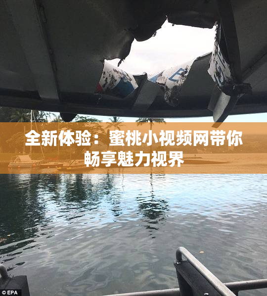 全新体验：蜜桃小视频网带你畅享魅力视界