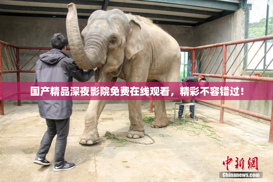 国产精品深夜影院免费在线观看，精彩不容错过！