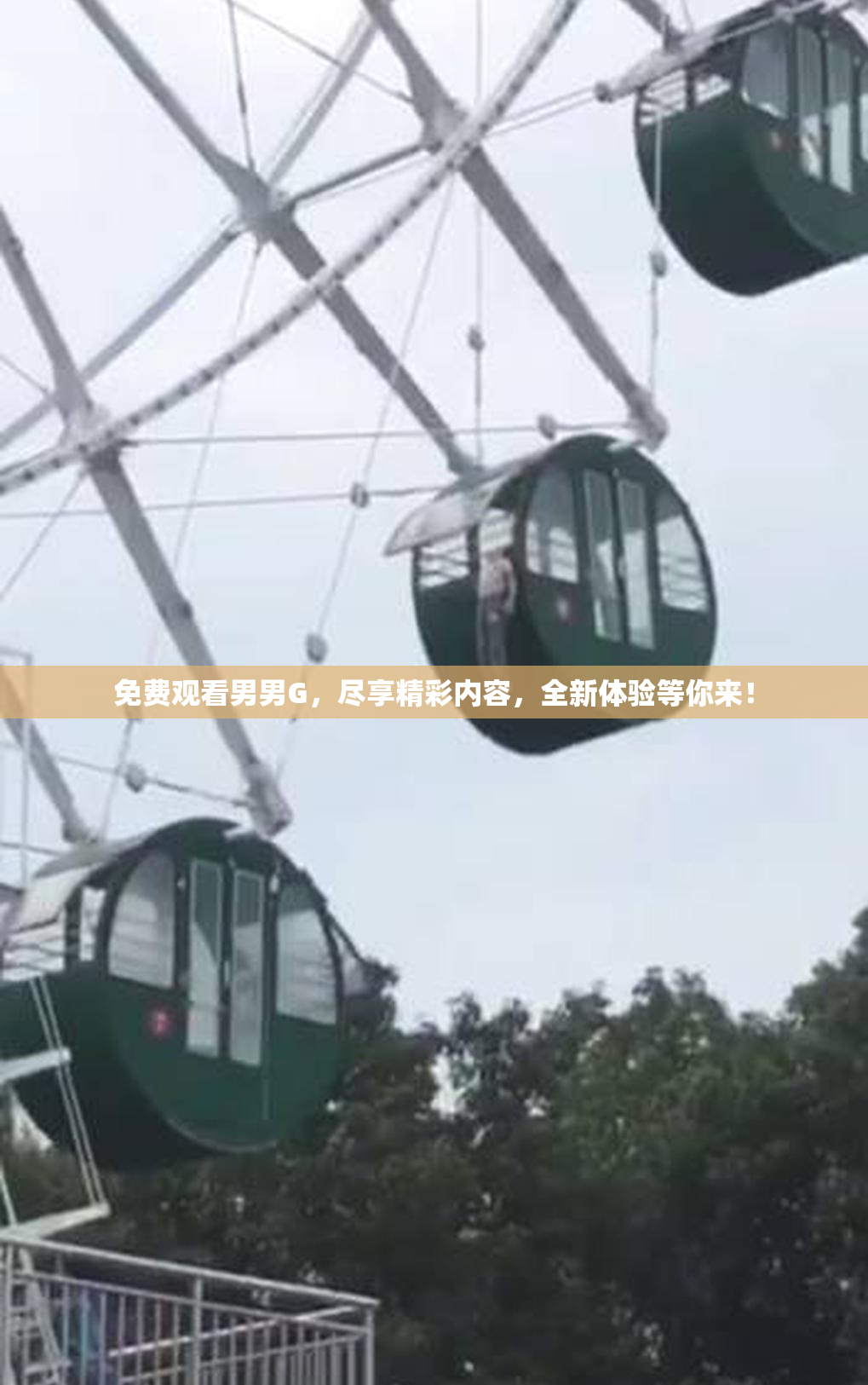 免费观看男男G，尽享精彩内容，全新体验等你来！