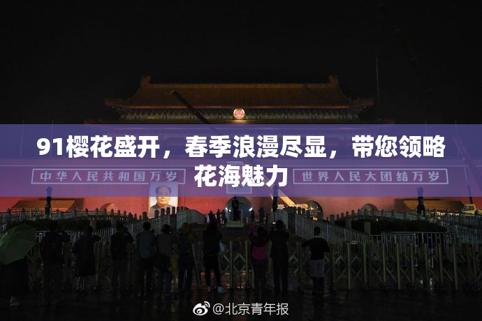 91樱花盛开，春季浪漫尽显，带您领略花海魅力
