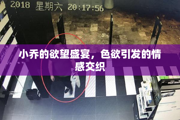 小乔的欲望盛宴，色欲引发的情感交织