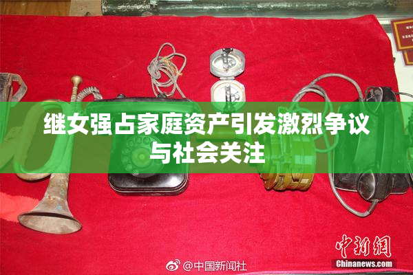 继女强占家庭资产引发激烈争议与社会关注