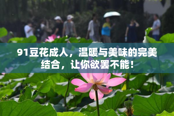 91豆花成人，温暖与美味的完美结合，让你欲罢不能！