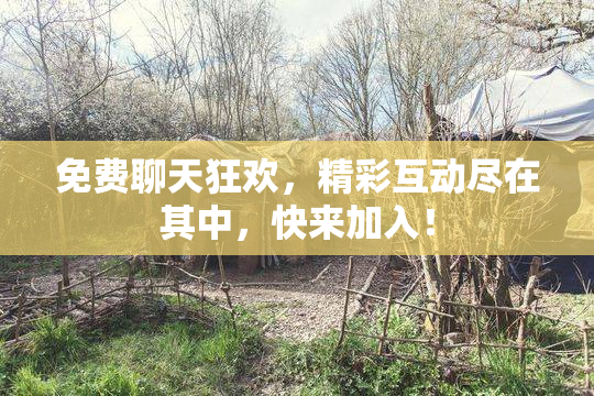 免费聊天狂欢，精彩互动尽在其中，快来加入！