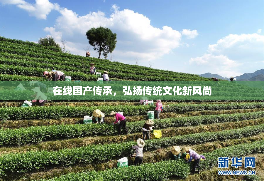 在线国产传承，弘扬传统文化新风尚