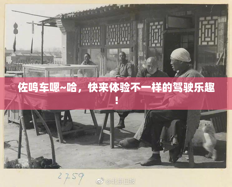 佐鸣车嗯~哈，快来体验不一样的驾驶乐趣!