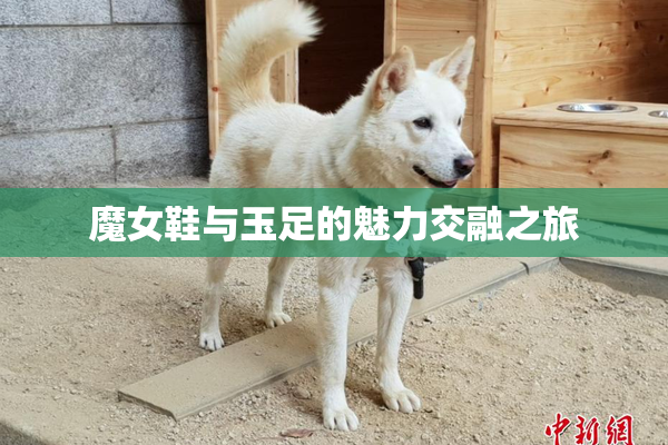 魔女鞋与玉足的魅力交融之旅