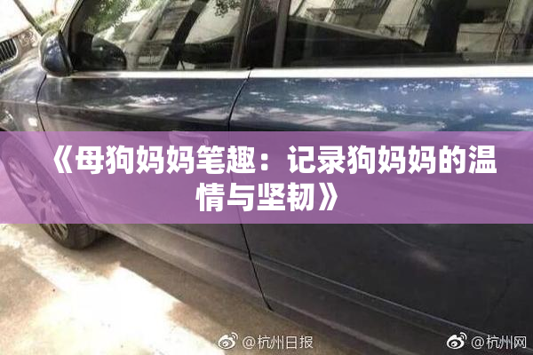 《母狗妈妈笔趣：记录狗妈妈的温情与坚韧》