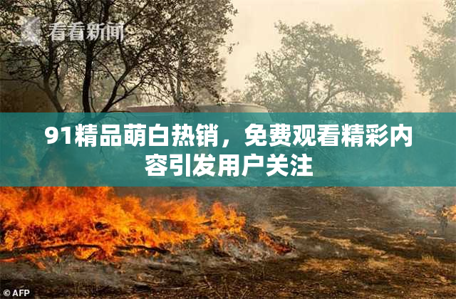 91精品萌白热销，免费观看精彩内容引发用户关注