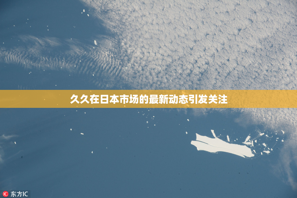 久久在日本市场的最新动态引发关注