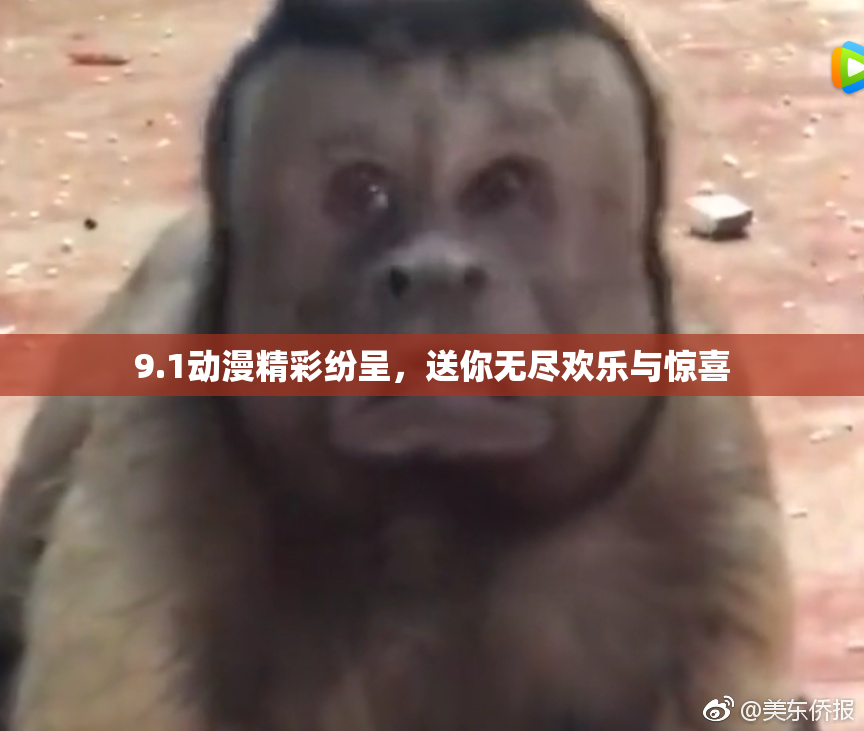 9.1动漫精彩纷呈，送你无尽欢乐与惊喜