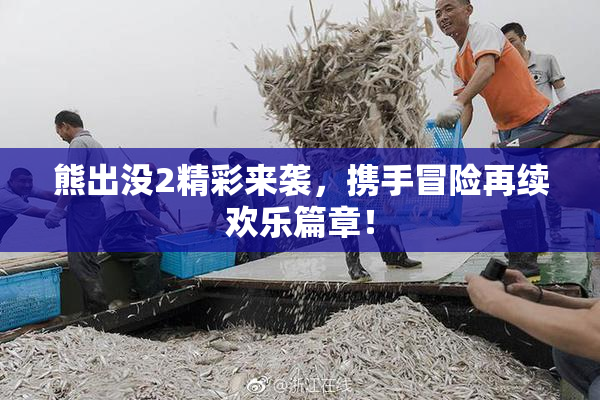 熊出没2精彩来袭，携手冒险再续欢乐篇章！