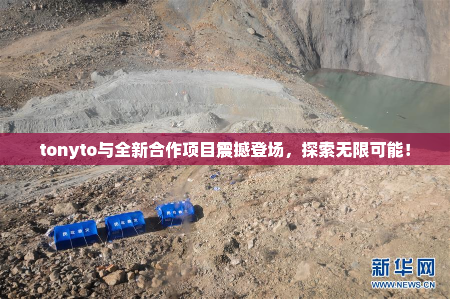 tonyto与全新合作项目震撼登场，探索无限可能！