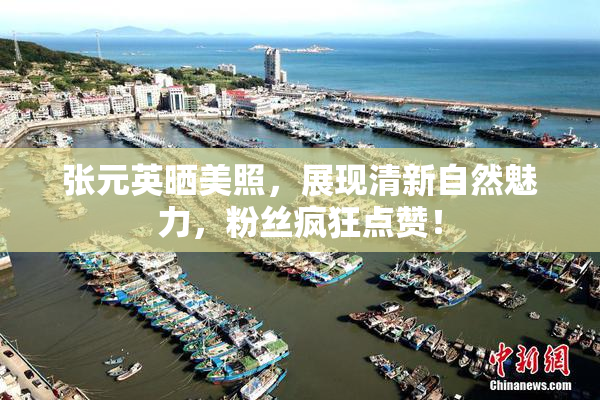 张元英晒美照，展现清新自然魅力，粉丝疯狂点赞！