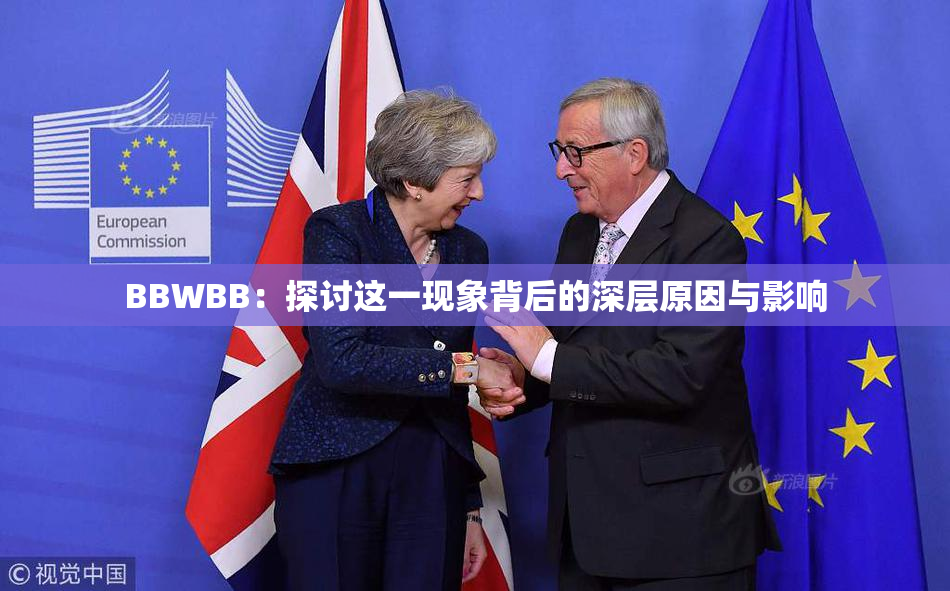 BBWBB：探讨这一现象背后的深层原因与影响