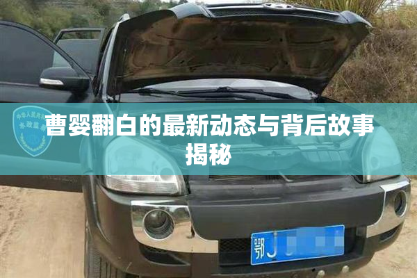 曹婴翻白的最新动态与背后故事揭秘