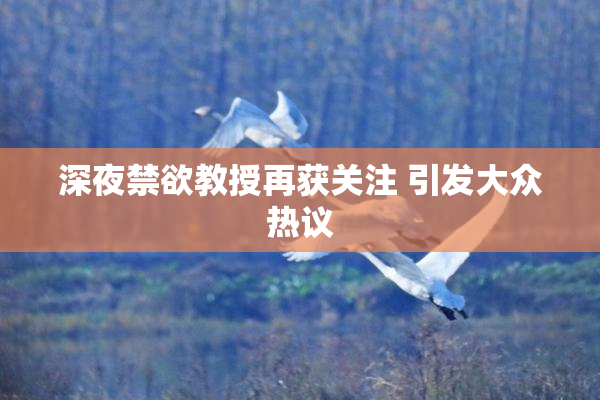 深夜禁欲教授再获关注 引发大众热议