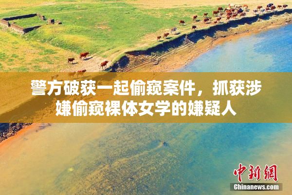 警方破获一起偷窥案件，抓获涉嫌偷窥裸体女学的嫌疑人