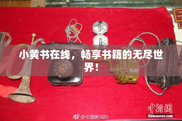 小黄书在线，畅享书籍的无尽世界！