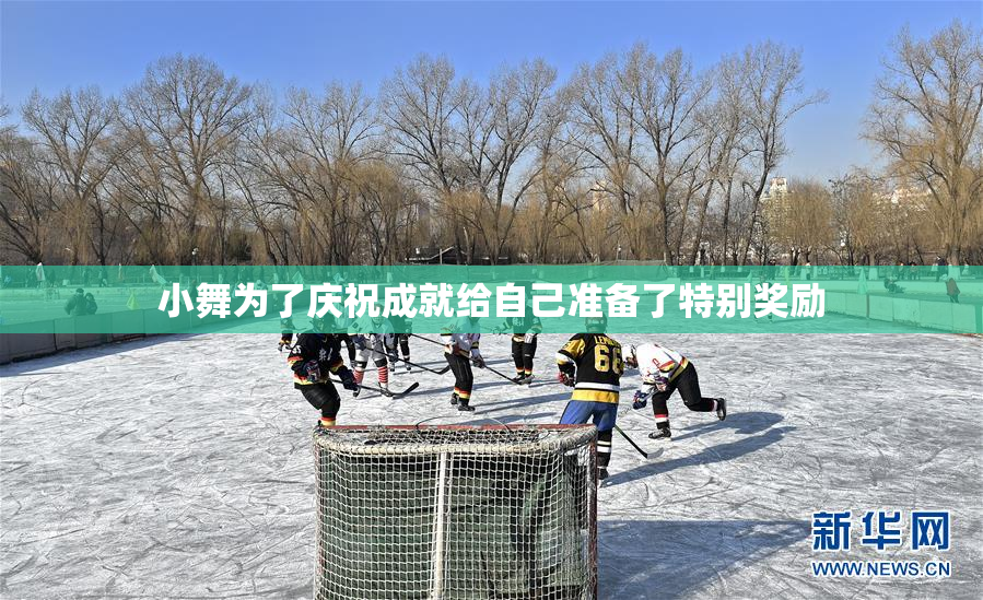 小舞为了庆祝成就给自己准备了特别奖励