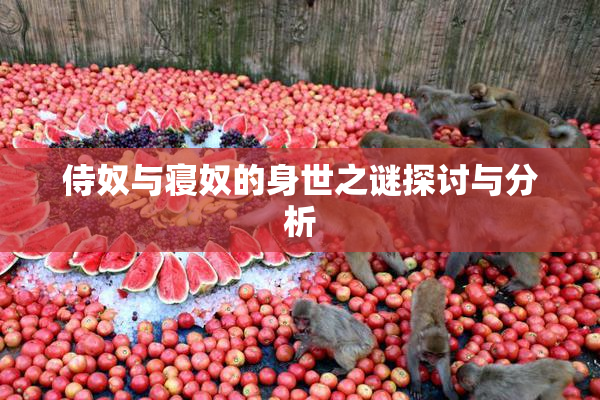 侍奴与寝奴的身世之谜探讨与分析