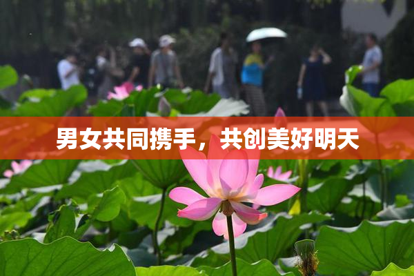 男女共同携手，共创美好明天
