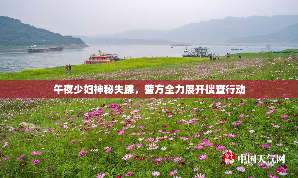 午夜少妇神秘失踪，警方全力展开搜查行动