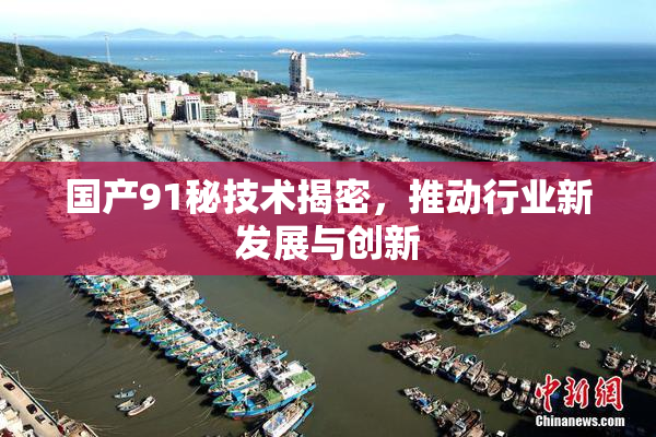 国产91秘技术揭密，推动行业新发展与创新