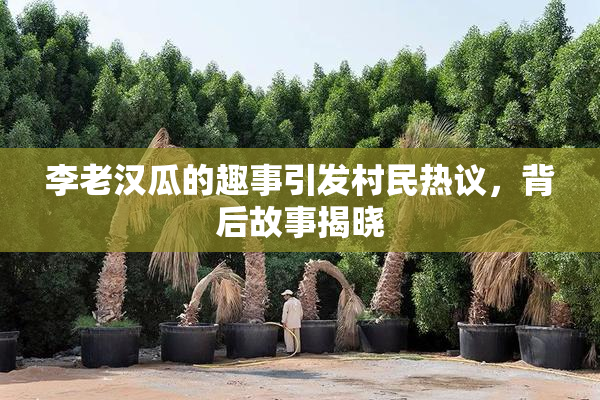 李老汉瓜的趣事引发村民热议，背后故事揭晓