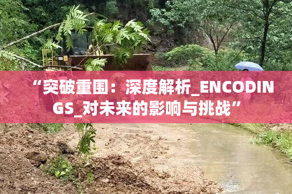 “突破重围：深度解析_ENCODINGS_对未来的影响与挑战”